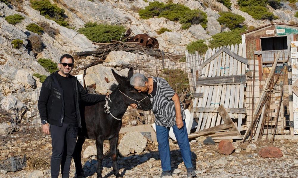 Έφτασε στην Κίναρο το γαϊδουράκι που θα κρατάει συντροφιά στην κυρά Ρηνιώ (Βϊντεο)